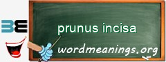 WordMeaning blackboard for prunus incisa